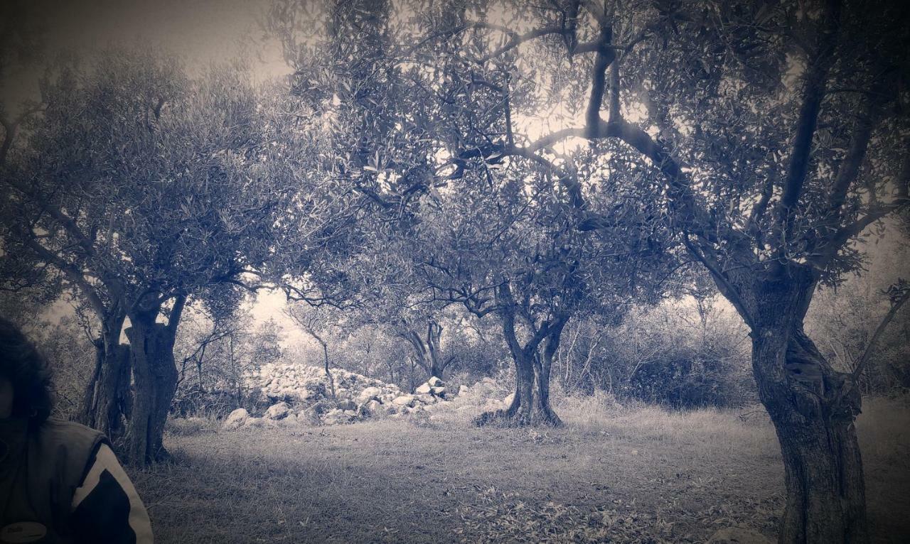 ורבניק Apartment Adrijana מראה חיצוני תמונה